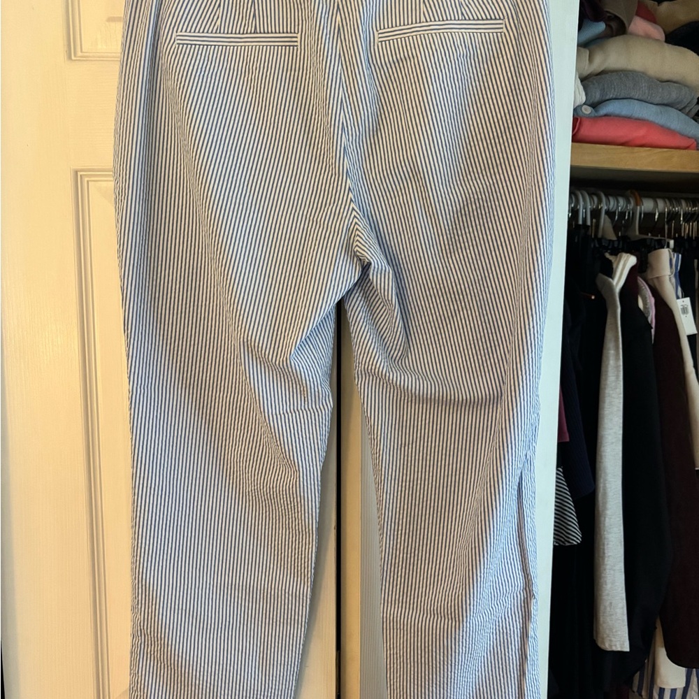 J. Crew Blue and White Striped Trousers - Picture 5 of 5